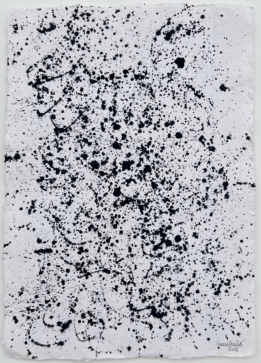 V I S I O N (65cmx52cm)